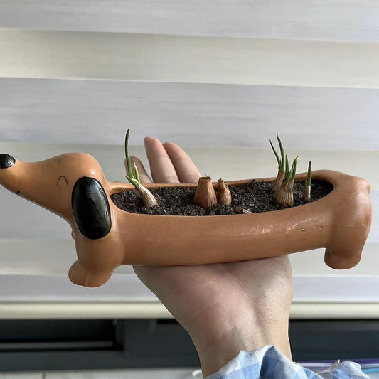 Cute Dachshund Ceramic Planter for Succulents