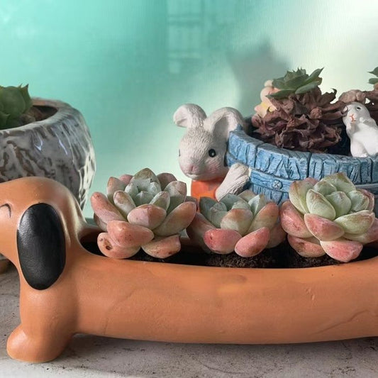 Cute Dachshund Ceramic Planter for Succulents